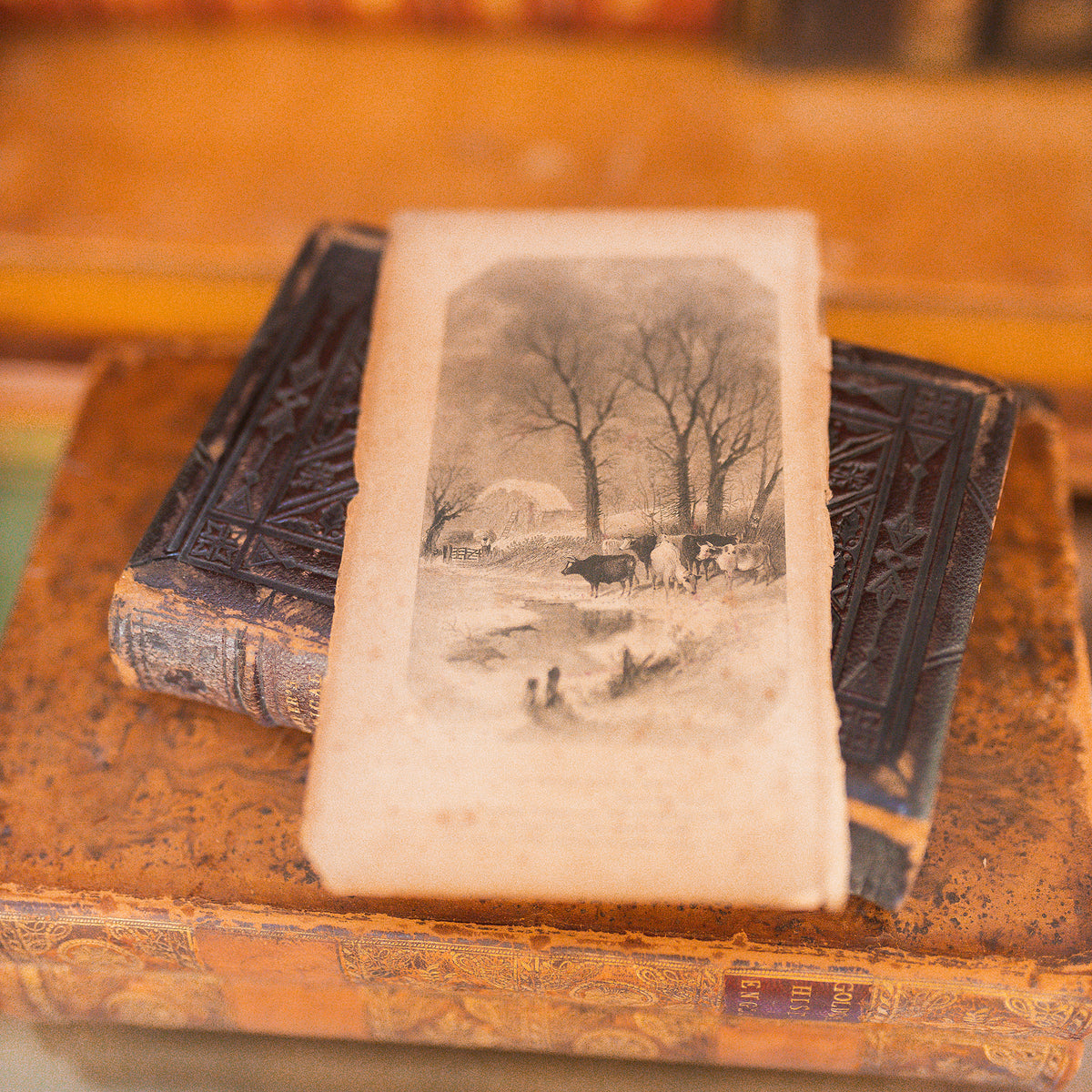 Cowper's Poetical Works 1853