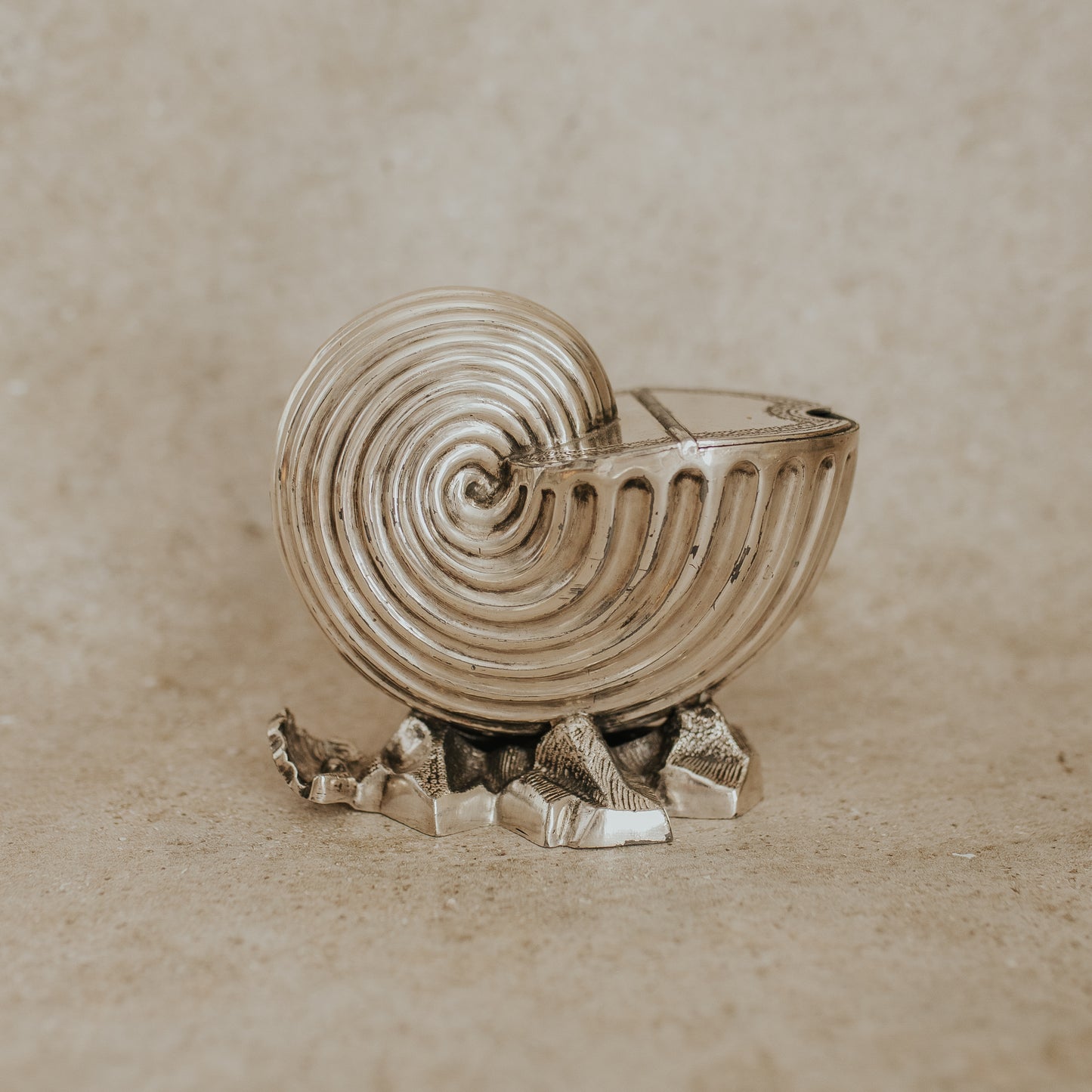 Silver-Plated Nautilus Shell-Shaped Spoon Warmer