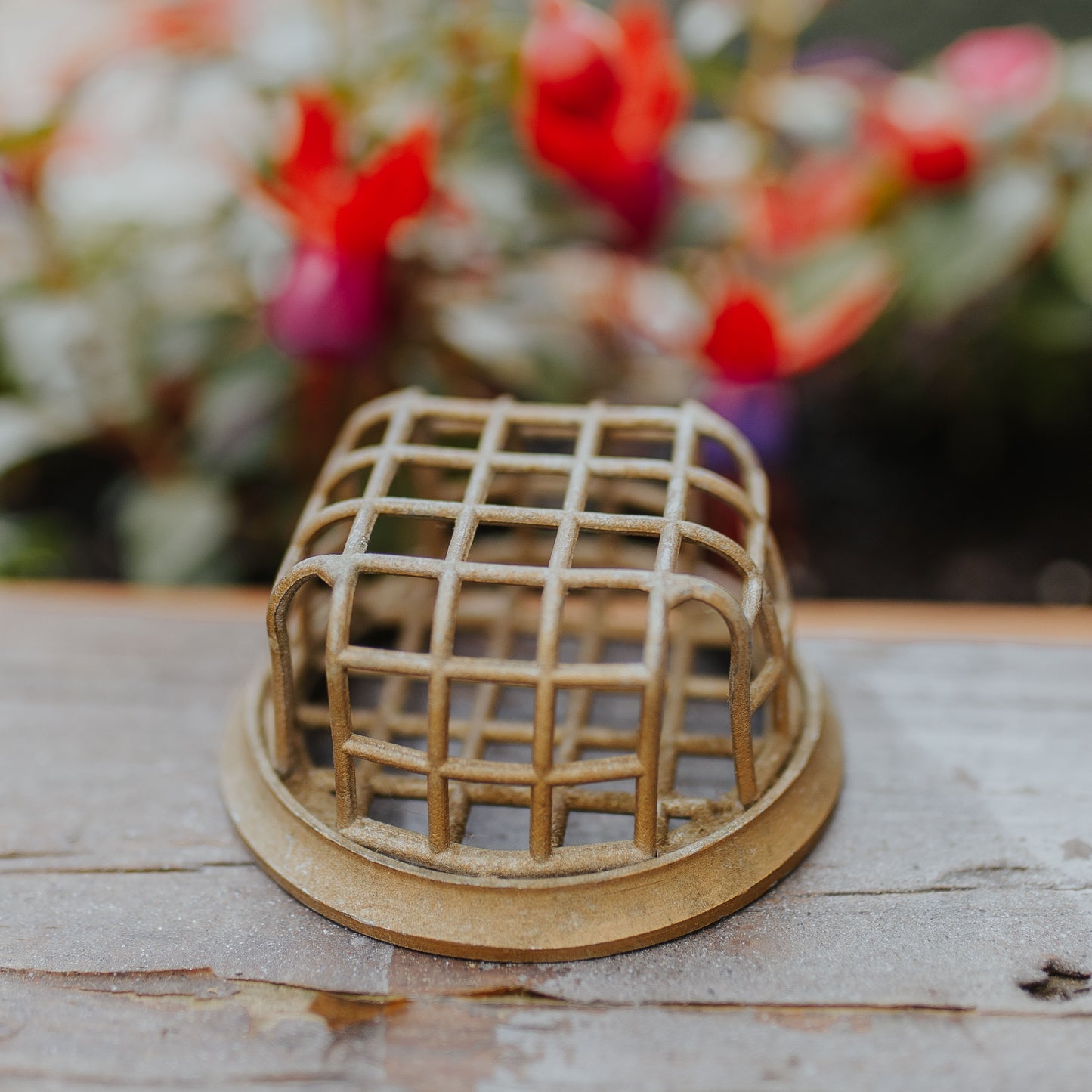 Caged Flower Frog