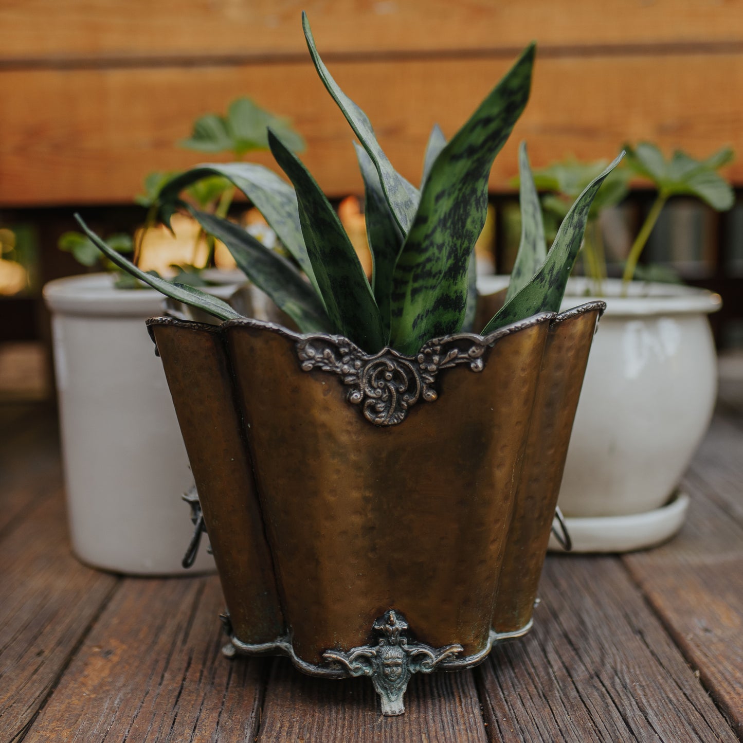 Antique Brass Jardiniere