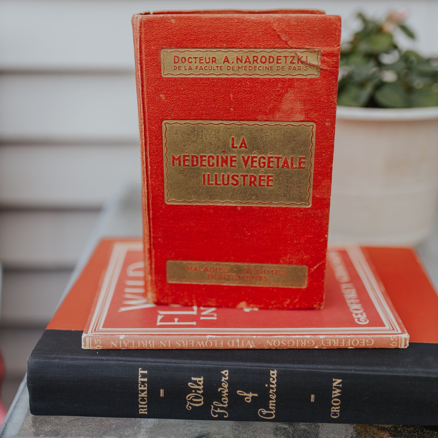 Red Floral Book Set