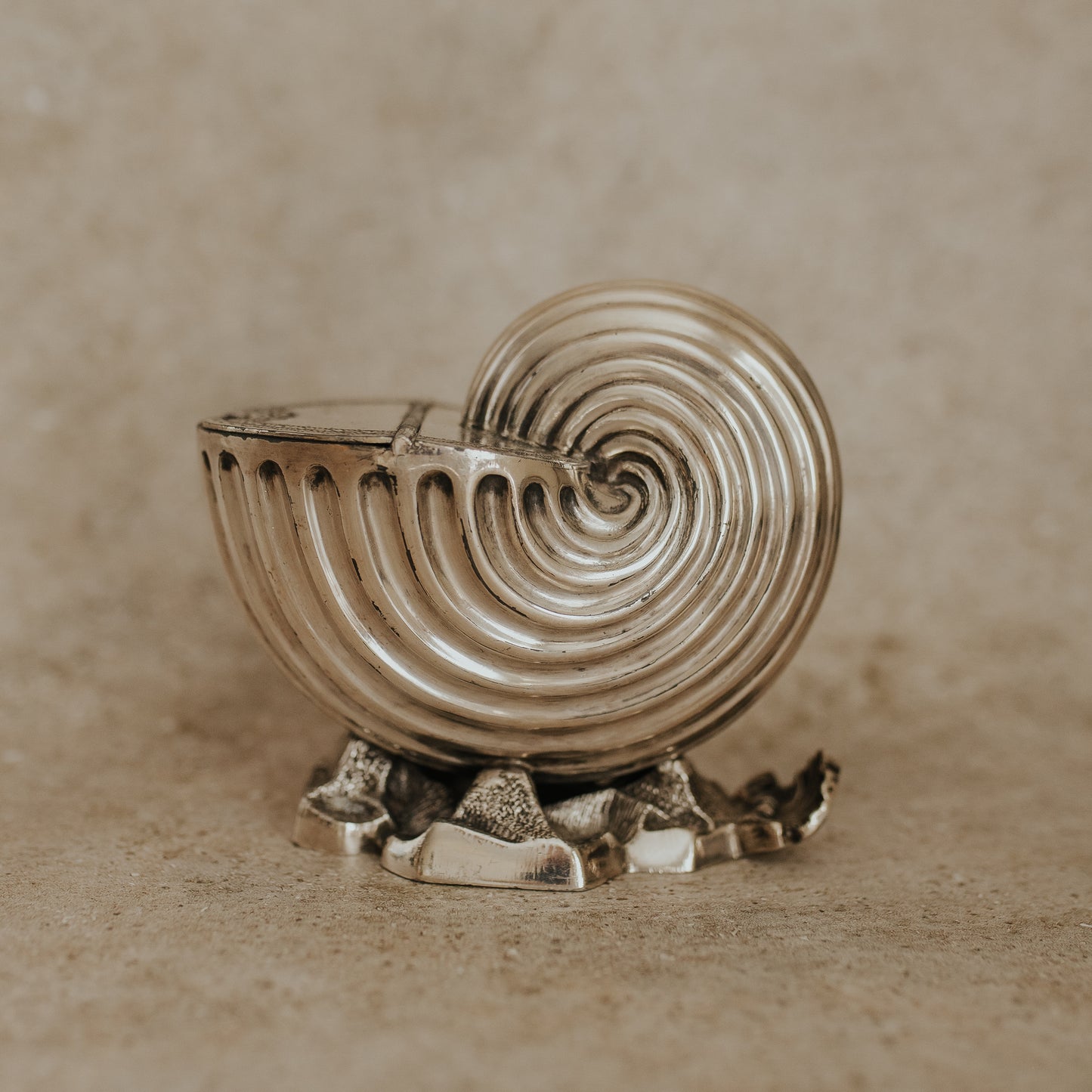 Silver-Plated Nautilus Shell-Shaped Spoon Warmer