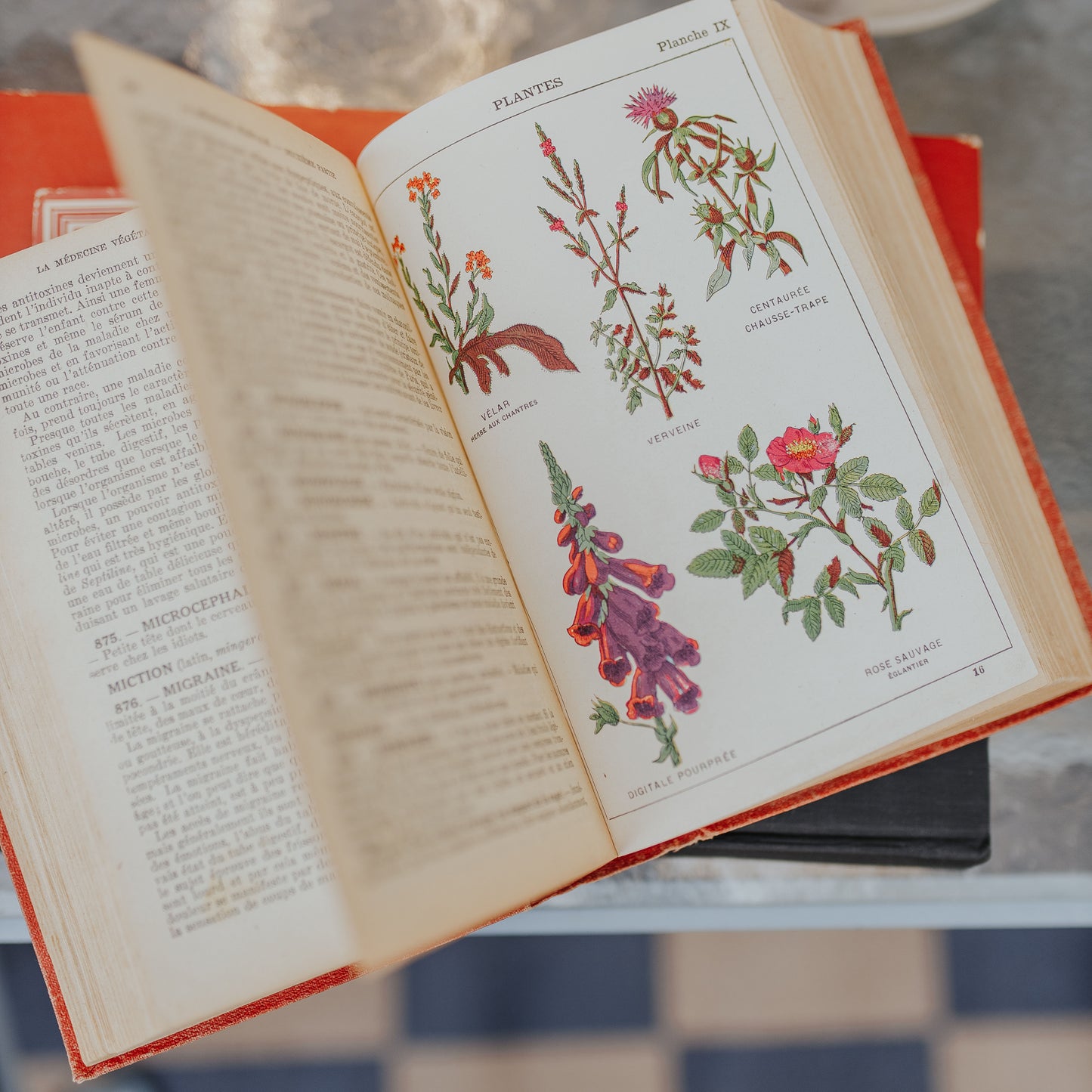 Red Floral Book Set