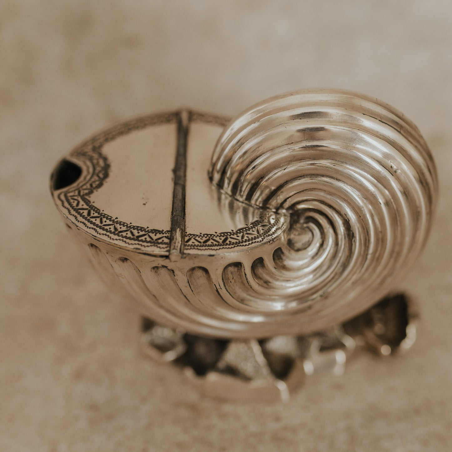 Silver-Plated Nautilus Shell-Shaped Spoon Warmer