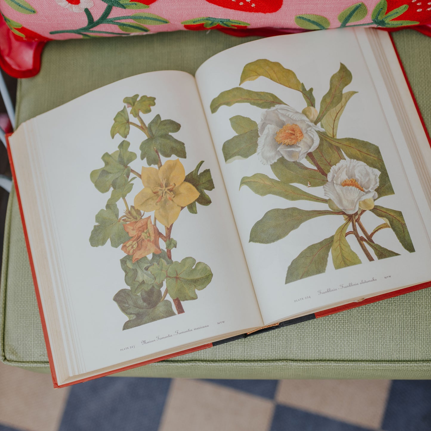 Red Floral Book Set