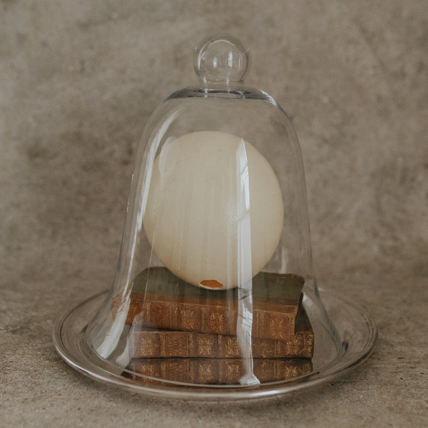 Ostrich Egg in Glass Cloche on Silver Platter