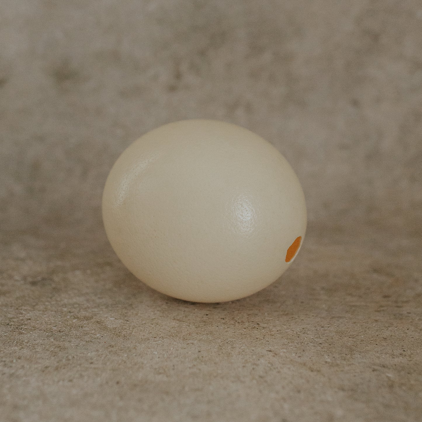 Ostrich Egg in Glass Cloche on Silver Platter