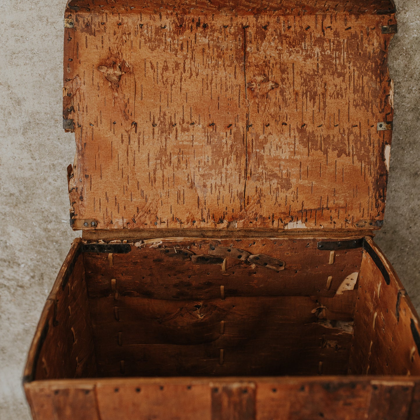 Swedish Bärkont Fist Trunk