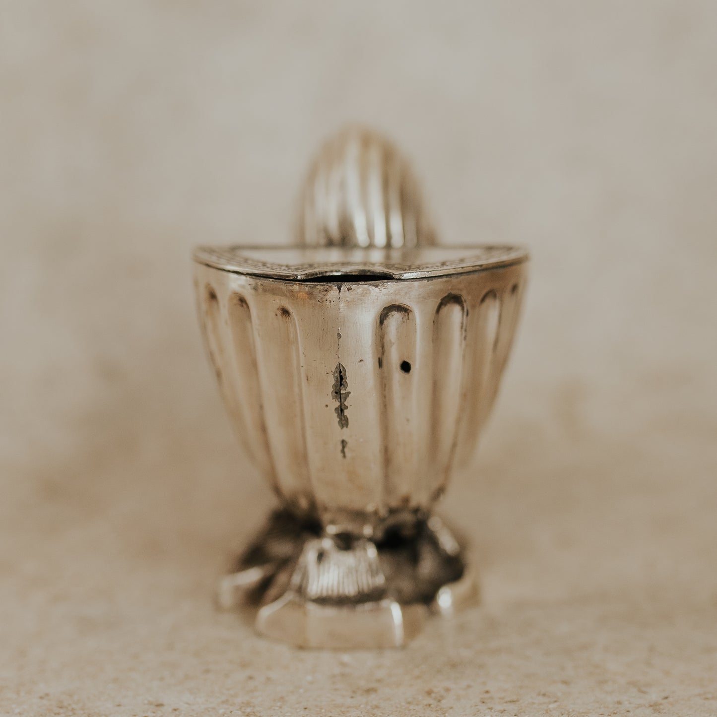 Silver-Plated Nautilus Shell-Shaped Spoon Warmer