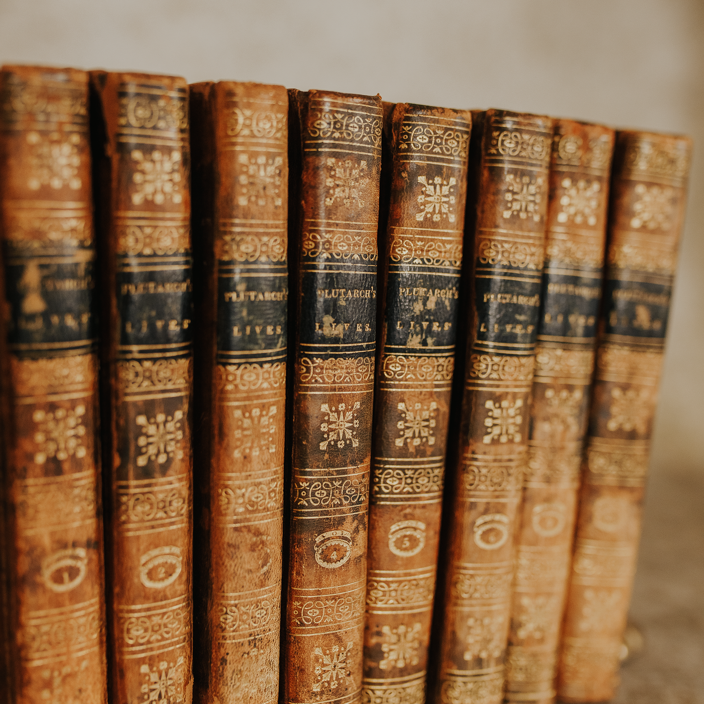 Plutarch's Lives Complete Set