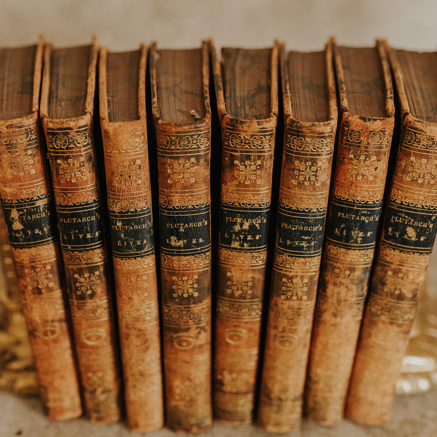 Plutarch's Lives Complete Set