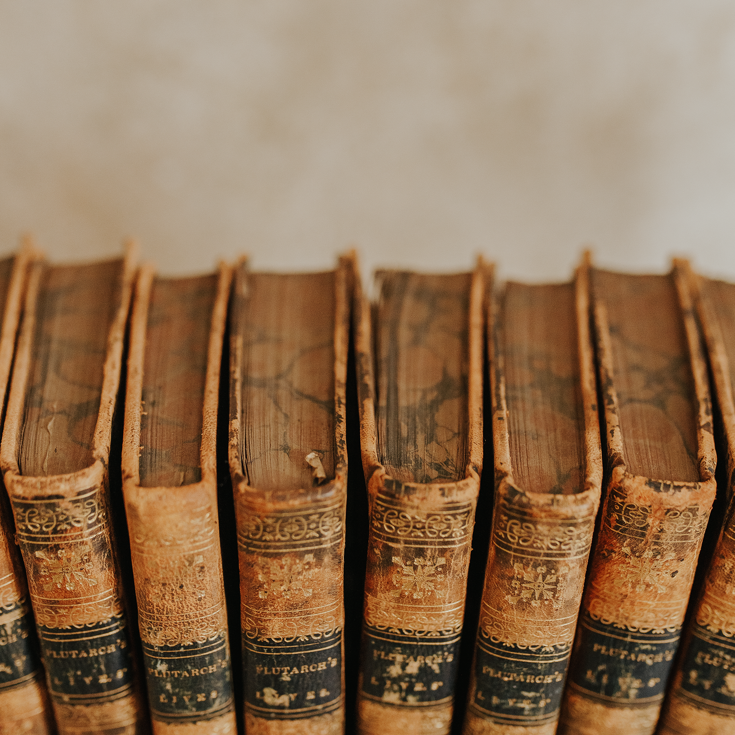 Plutarch's Lives Complete Set