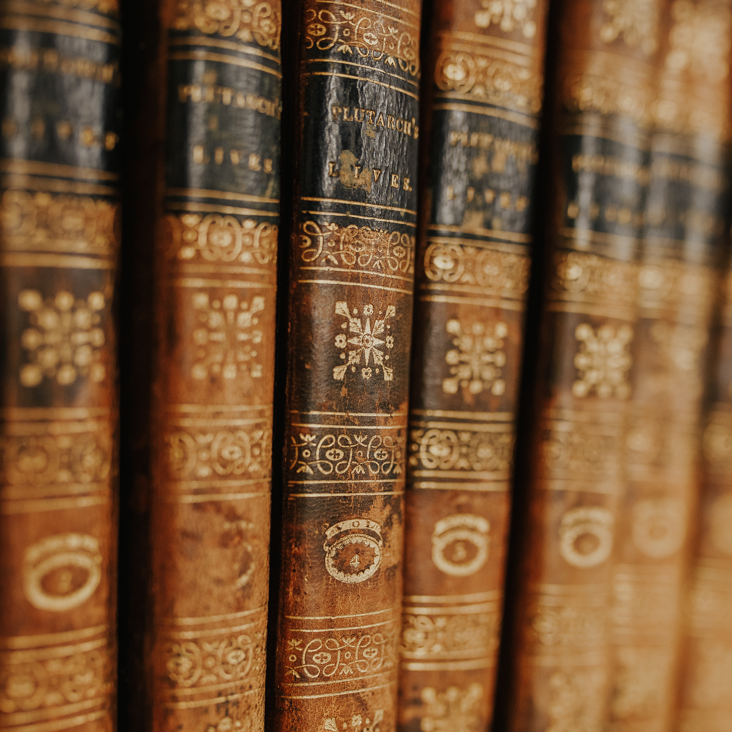 Plutarch's Lives Complete Set