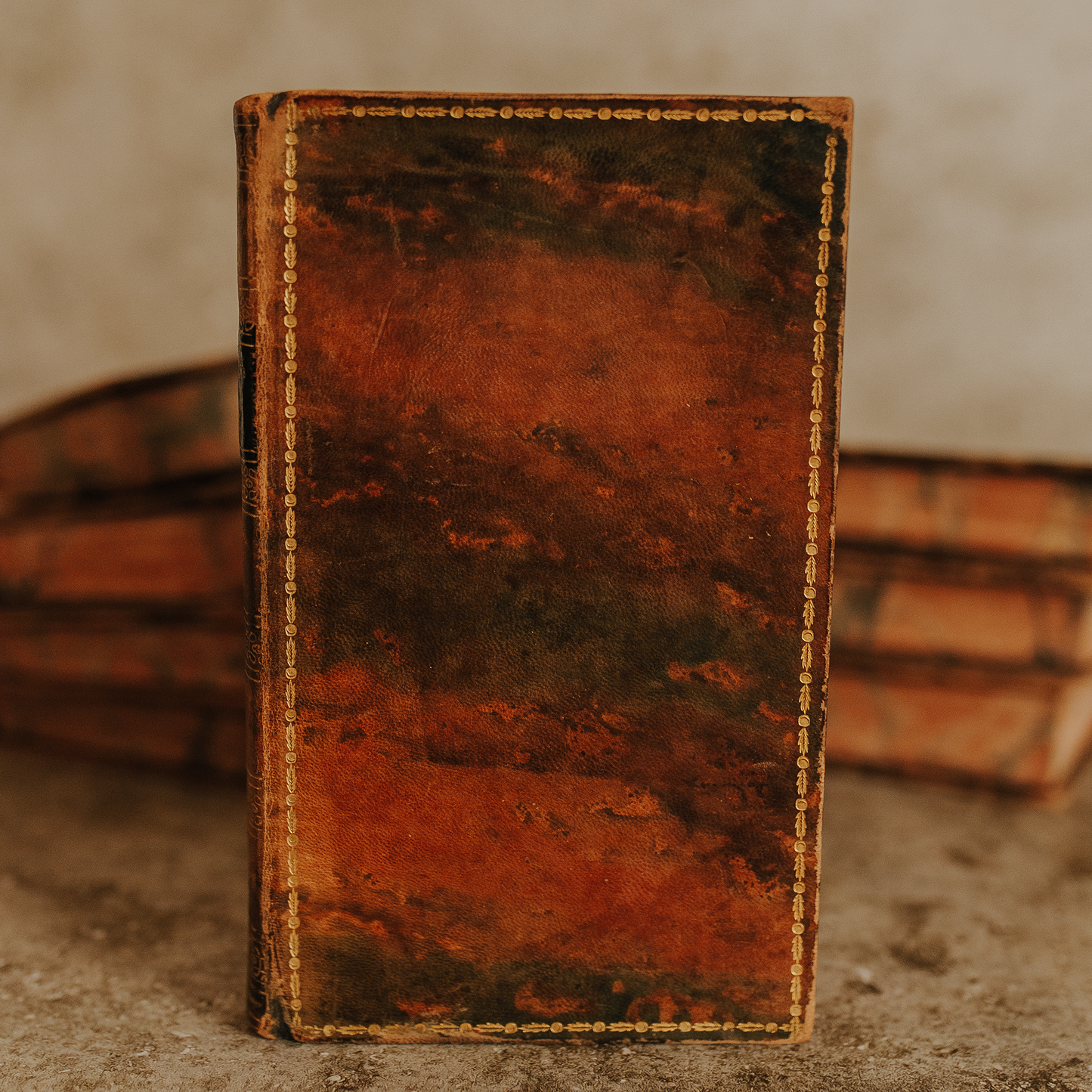 Plutarch's Lives Complete Set