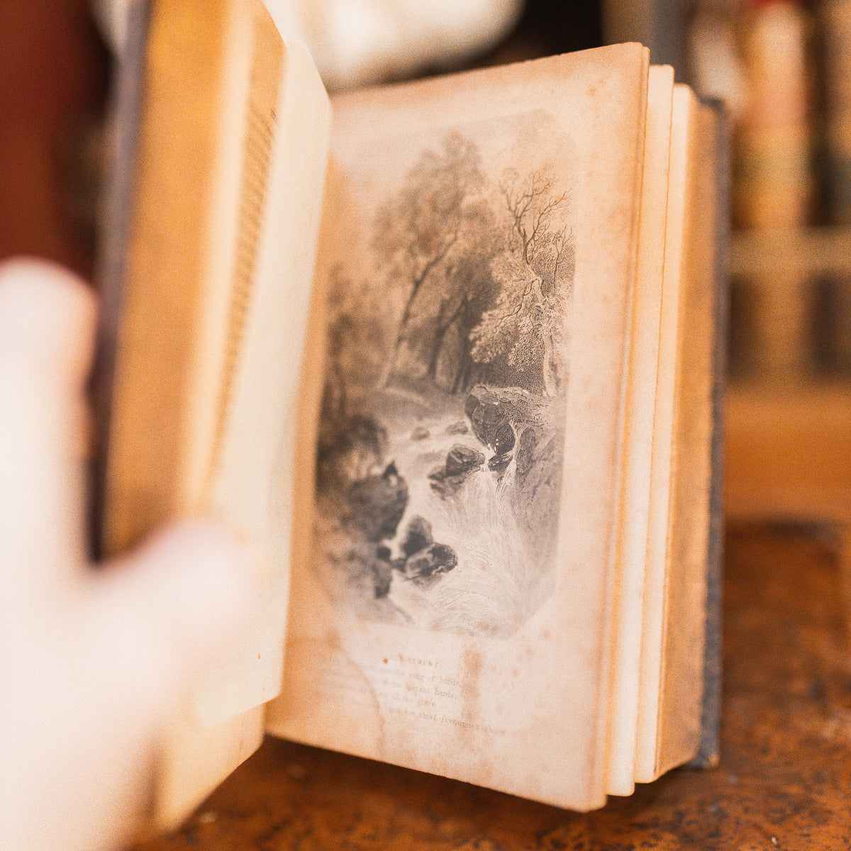 Cowper's Poetical Works 1853