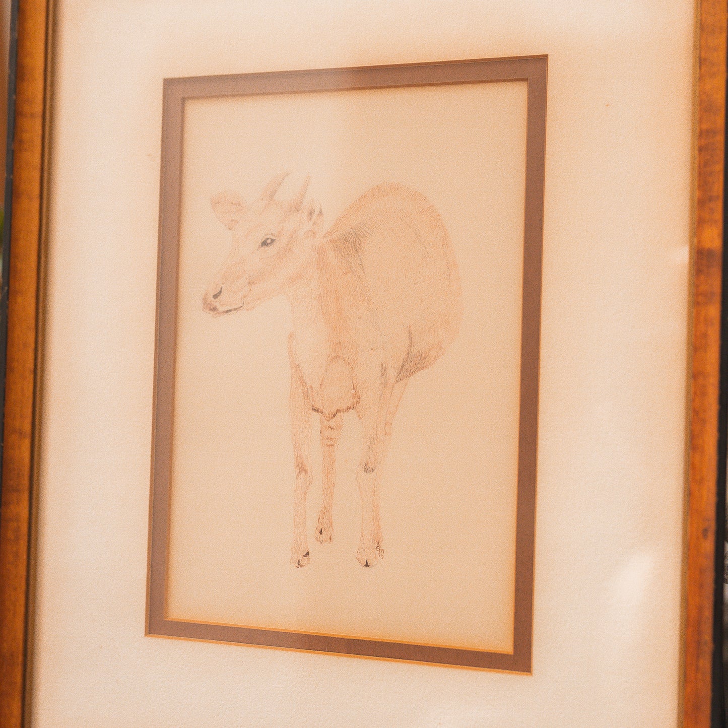 Vintage Goat Sketch