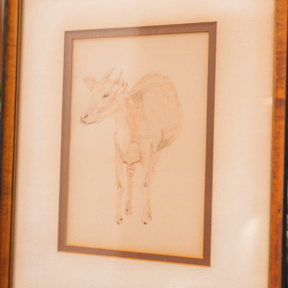 Vintage Goat Sketch
