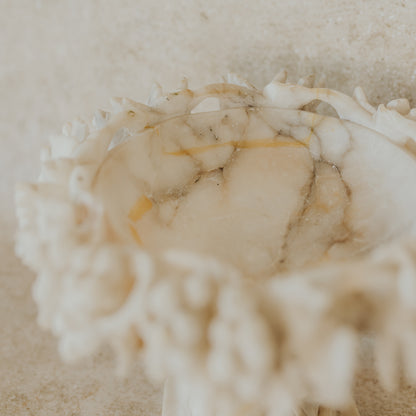 Italian Alabaster Tazza
