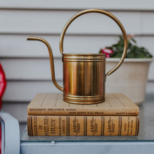 Tan Nature Book Set