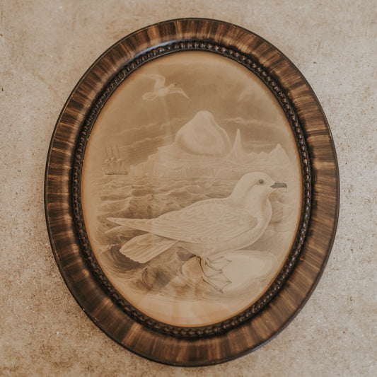 Victorian Seagull Engraving