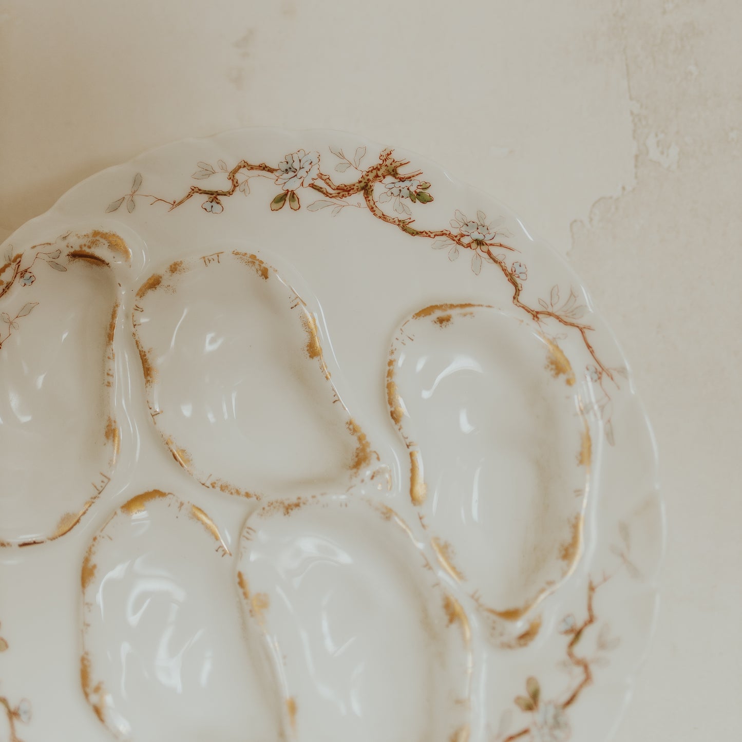 Haviland & Co Limoges Oyster Plates