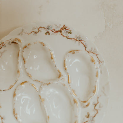 Haviland & Co Limoges Oyster Plates