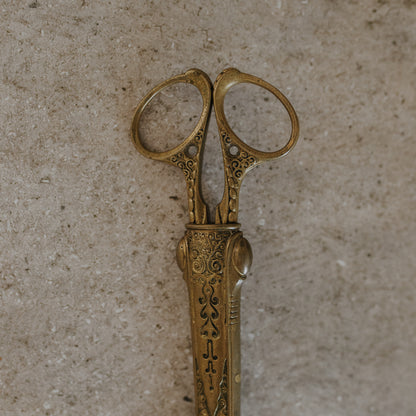 Antique German Brass Scissors with Ornate Case – Embossed Scrollwork Design