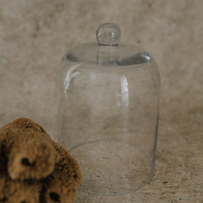 Sea Sponge Specimen in Glass Cloche
