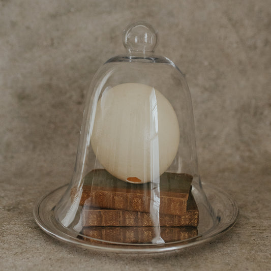 Ostrich Egg in Glass Cloche on Silver Platter