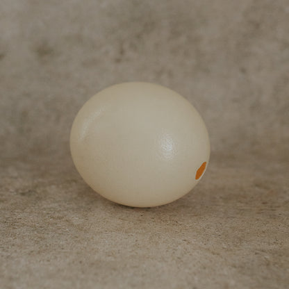 Ostrich Egg in Glass Cloche on Silver Platter