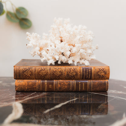Leather Bound Set of Books