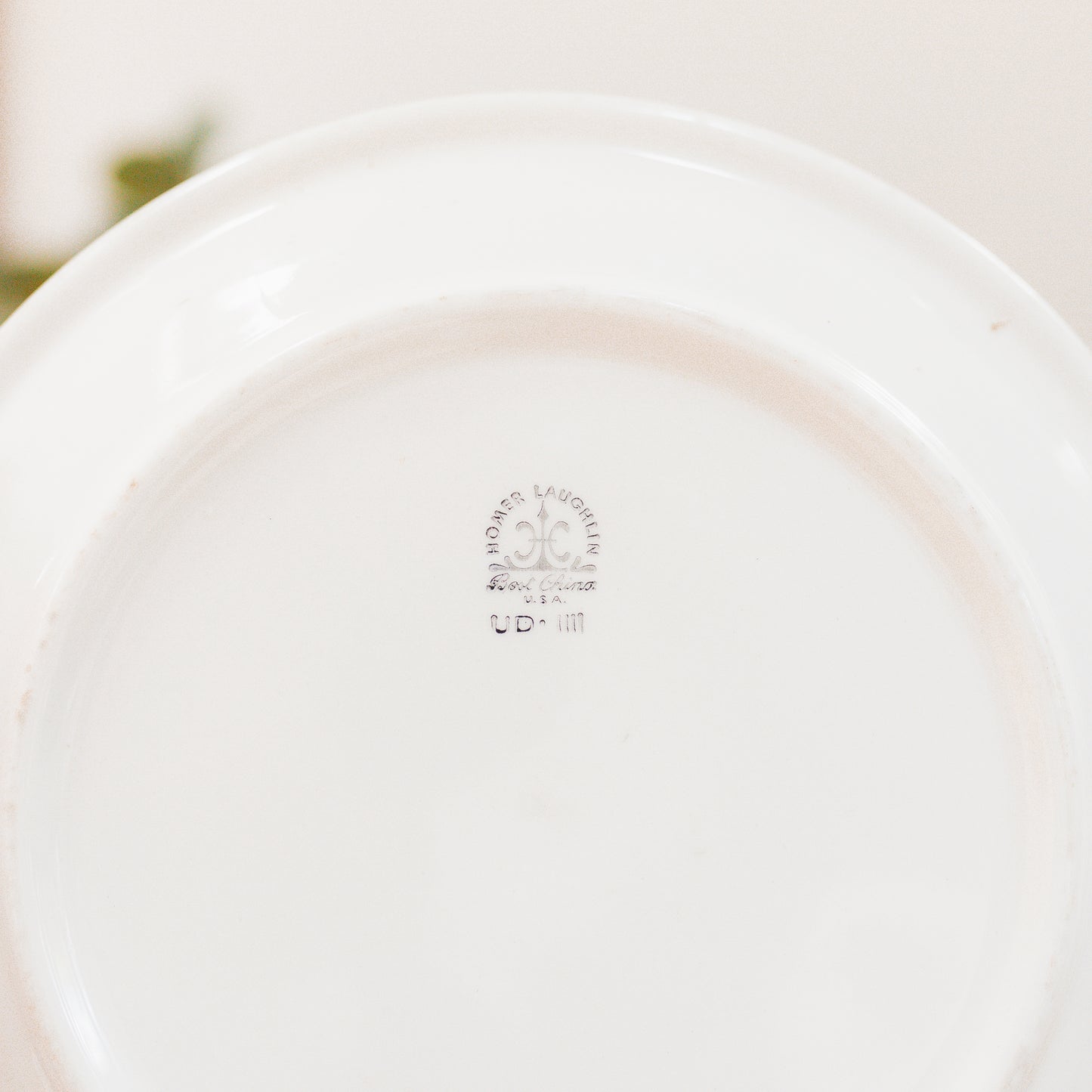 Antique Metal Food Cloche and Restaurant Plate