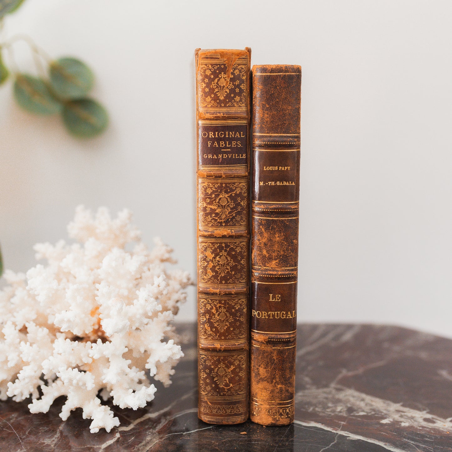 Leather Bound Set of Books