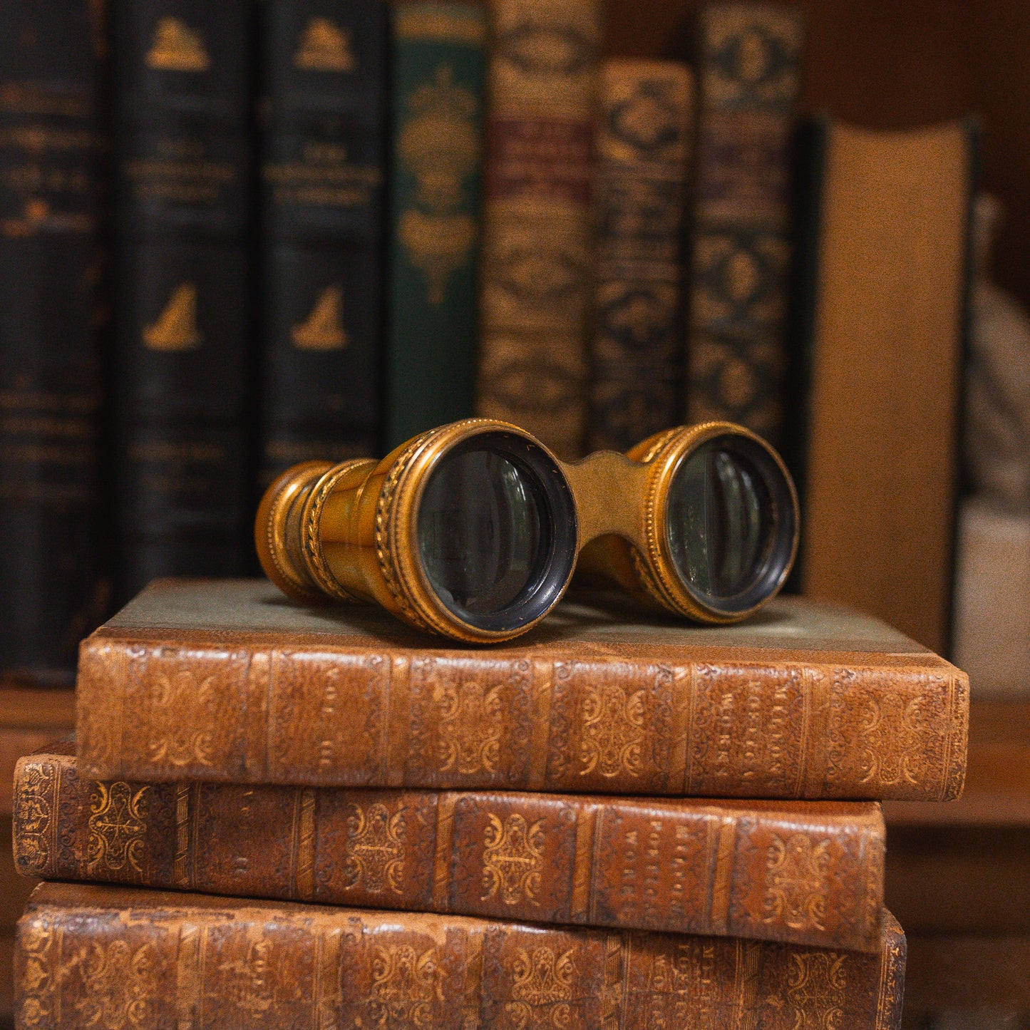 Antique LeMaire Paris Gold-Toned Opera Glasses