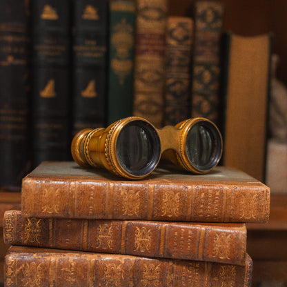 Antique LeMaire Paris Gold-Toned Opera Glasses