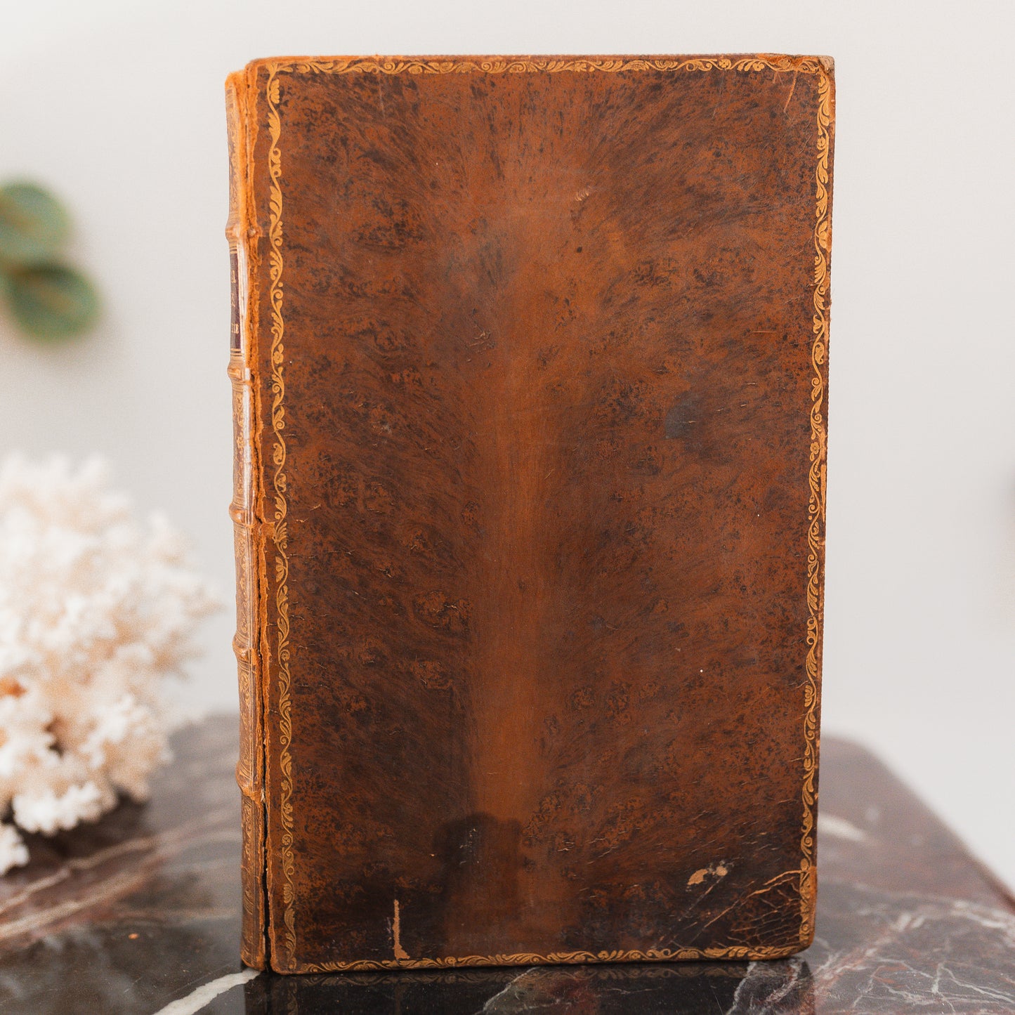 Leather Bound Set of Books