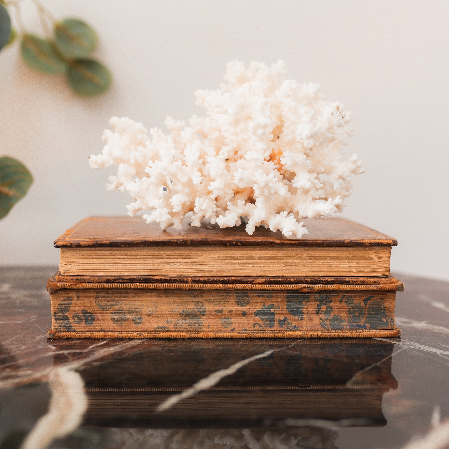 Leather Bound Set of Books