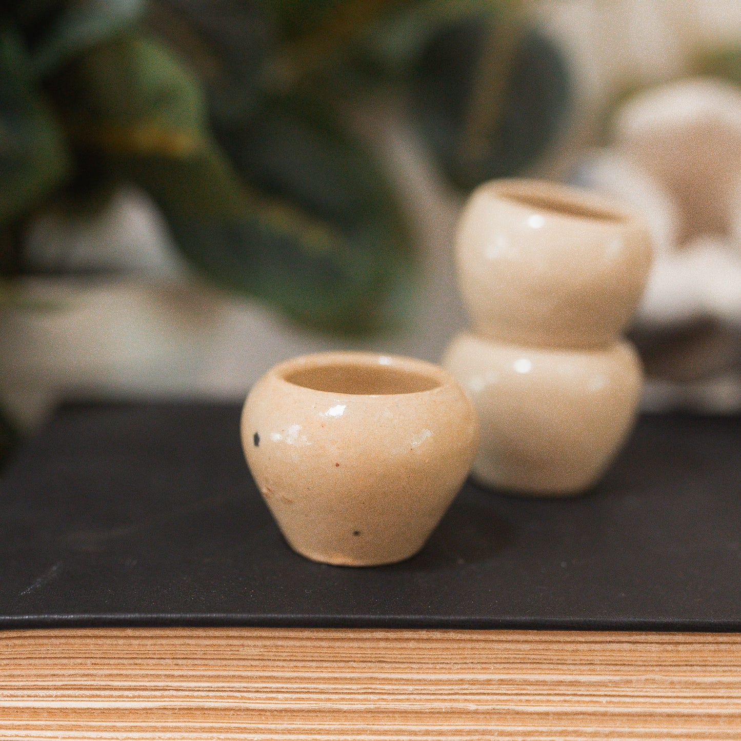 French Escargot Pots