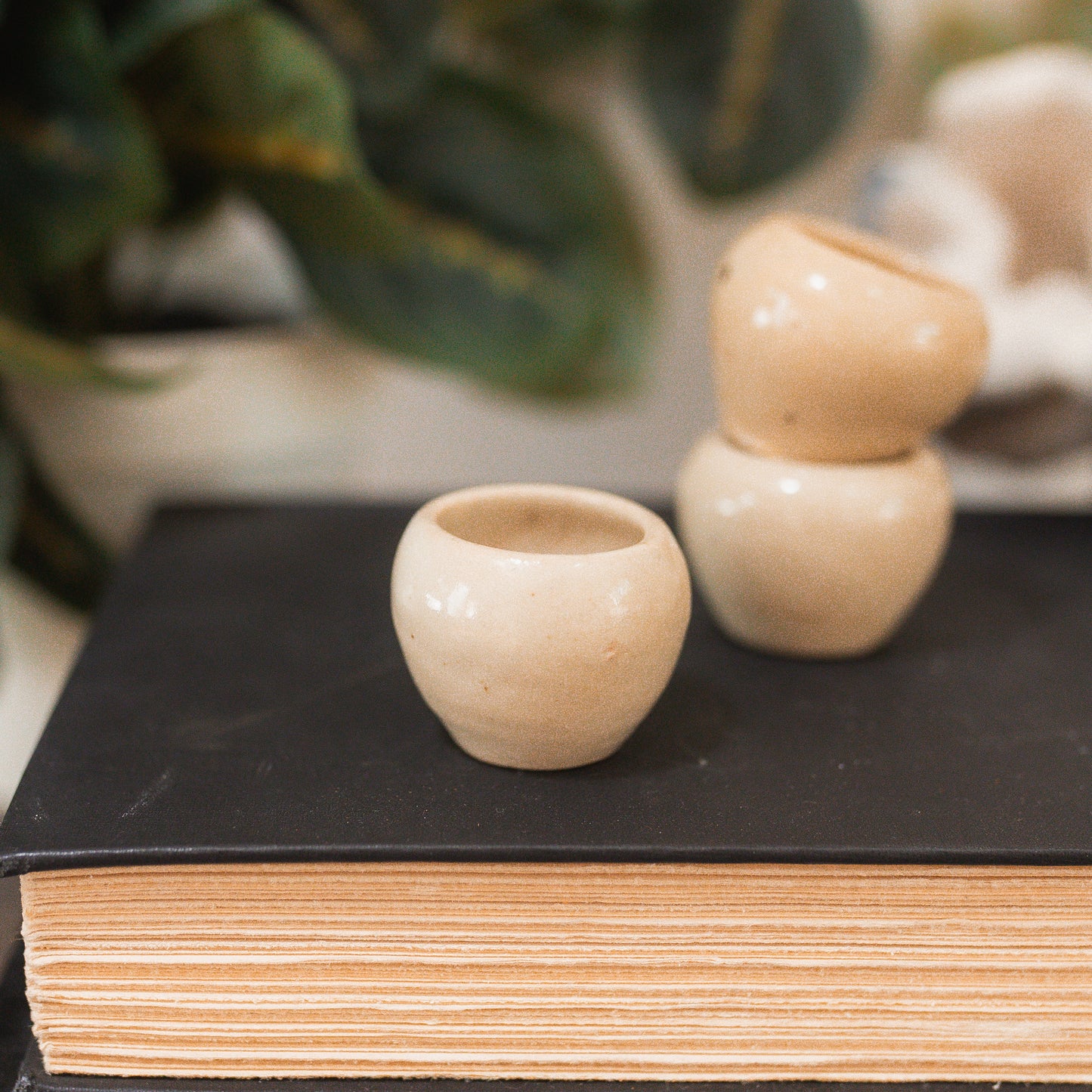 French Escargot Pots