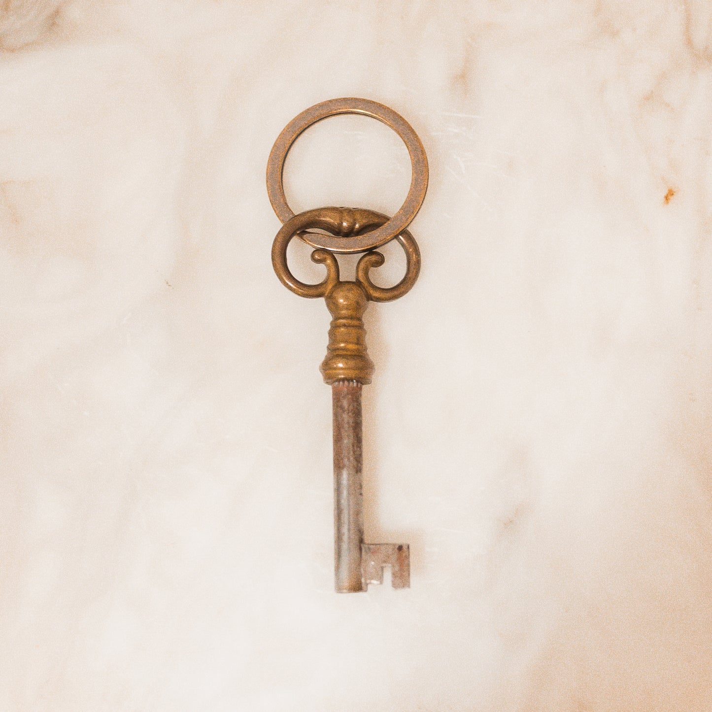 Antique Skeleton Key Chain