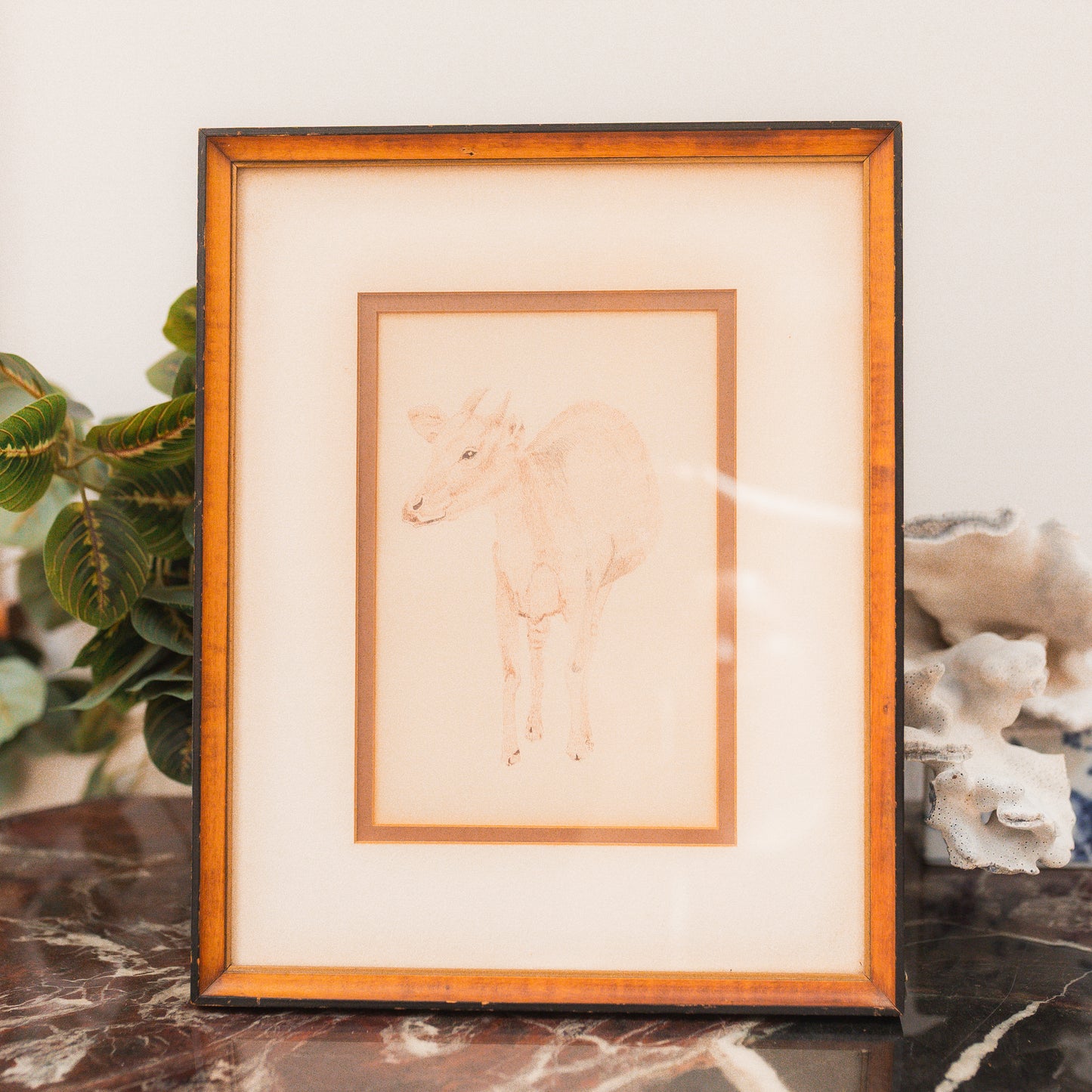 Vintage Goat Sketch