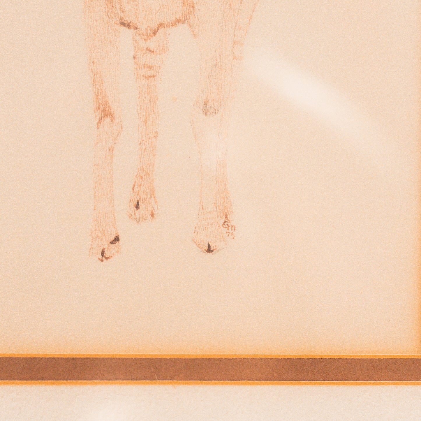 Vintage Goat Sketch