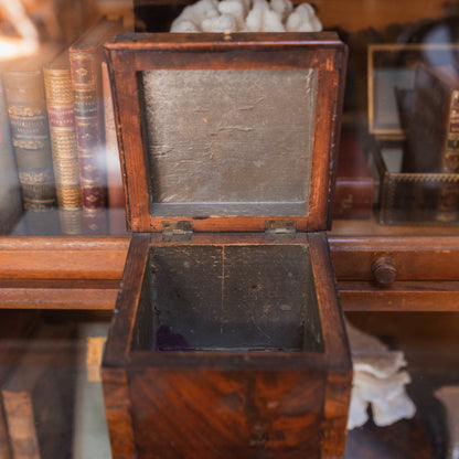 Antique Burlwood Tea Caddy