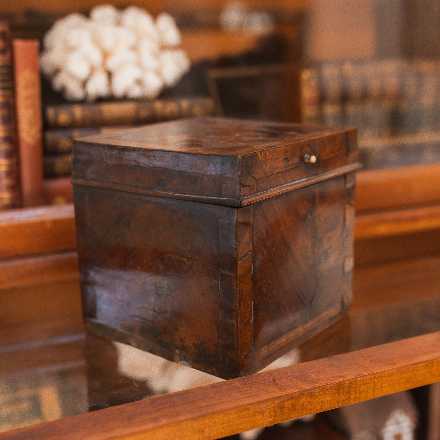 Antique Burlwood Tea Caddy