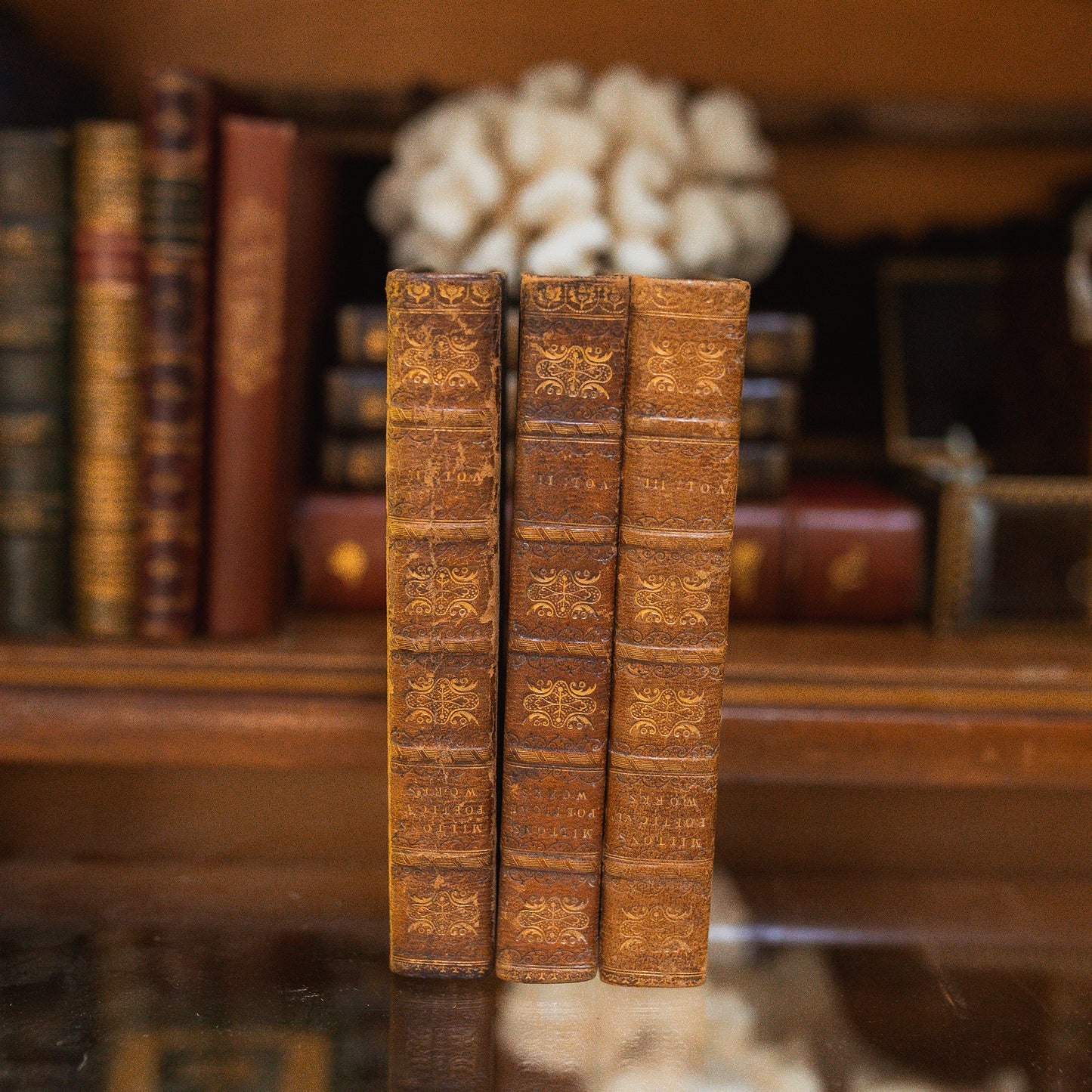 The Poetical Works of John Milton 1810